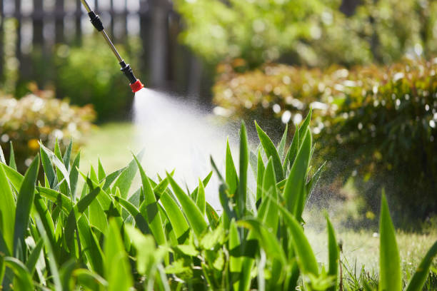 24/7 Emergency Wasp Removal experts in Ponderay, ID