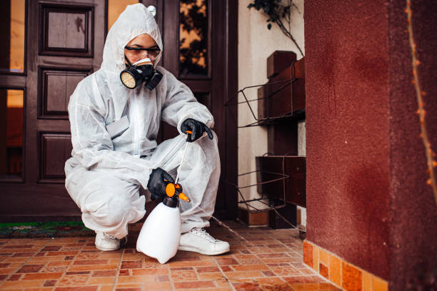 Reliable Wasp Removal contractor in Ponderay, ID by Show Me Pest Control